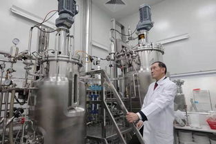 投資迷途 2500萬投資續命藥，兩年市值蒸發2億美元的警示